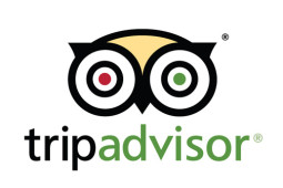 TripAdvisor’s Latest Redesign Puts the Spotlight on Tours and Activities. What Does that Mean for Tour Operators?